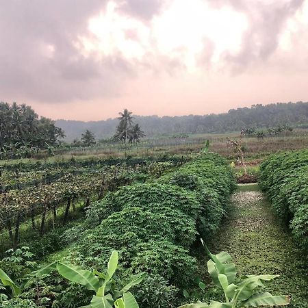 Villa Anandha Thiruvananthapuram Dış mekan fotoğraf